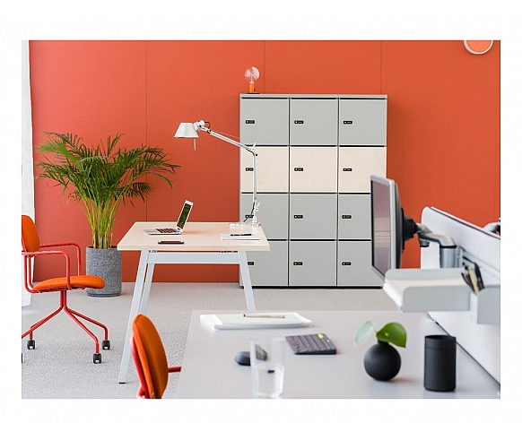 Locker standard spintelės